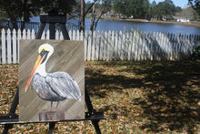 Load image into Gallery viewer, Pelican
