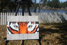 Load image into Gallery viewer, Tiger Eyes
