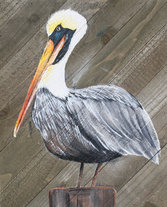 Pelican